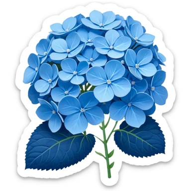 Blue Hydrangea sticker