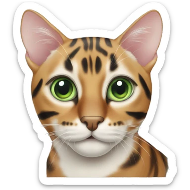 CAT bengal mit grünen Augen sticker