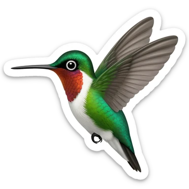 colibri ambato sticker