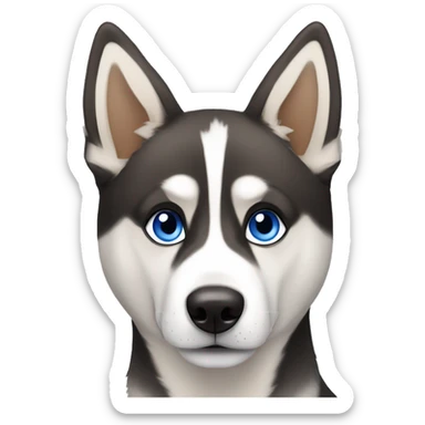 husky mixed with german shepherd one blue eye one brown  sticker