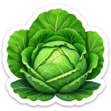 cabbage sticker