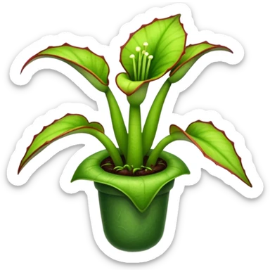  planta carnivora sticker