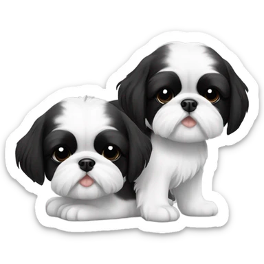 Two black and white shitz tzu puppies  sticker