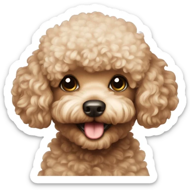 Toy poodle  sticker