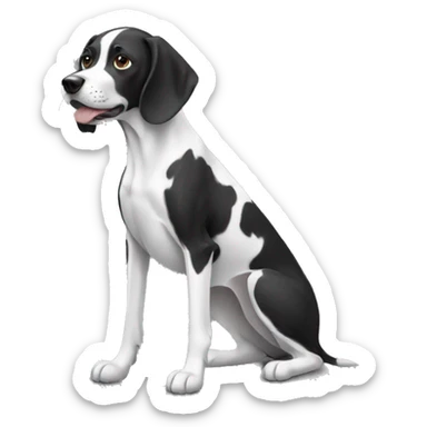 Pointer dog that is black and white sticker