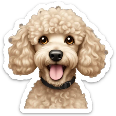 Cute young cocker poodle mix in beige and curly fur happy face  sticker