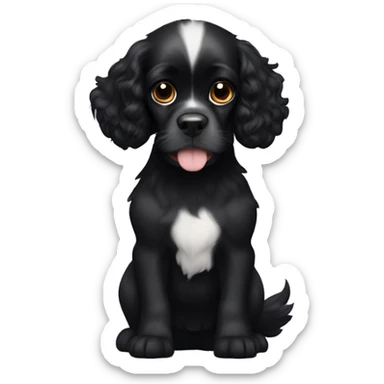 Small completely black king spaniel with black fur on his whole face and white stripe on chest sticker