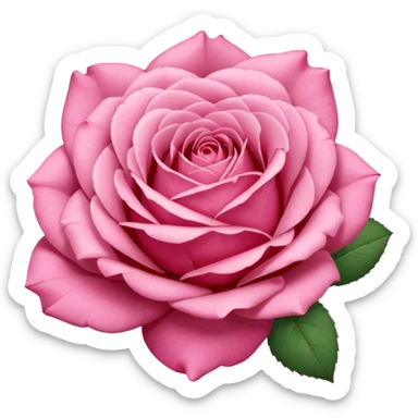 Polaroid photo of a pink rose  sticker