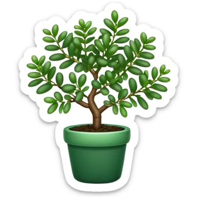 Cinematic Realistic Jade Plant Emoji, Thick and glossy, with dark green, round leaves that shine under the light. The sturdy stems and vibrant foliage give a sense of prosperity and tranquility. Soft glowing outline, capturing the essence of good luck, growth, and natural elegance in a flourishing jade plant! sticker