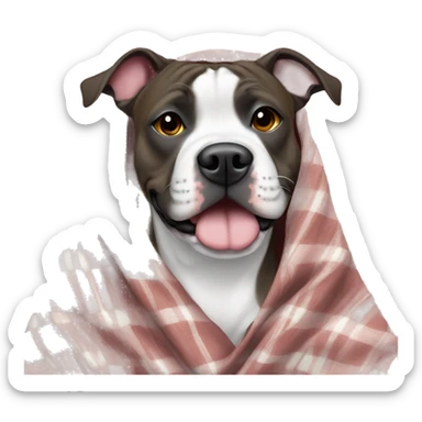 Brindle Pittie in a blanket sticker