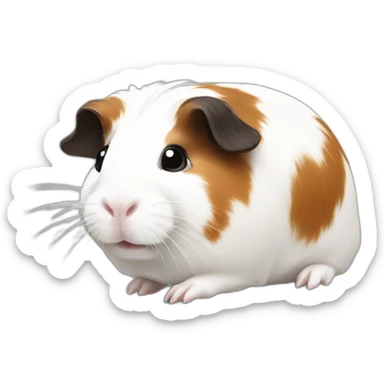 White Guinea pig with black and brown spots sticker