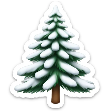  actual white fir christmas tree isolated.  sticker