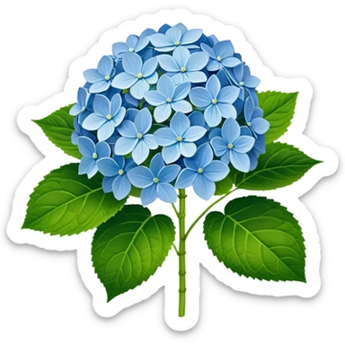 3D Realistic Still life ultra colorful and detailed, Hydrangea macrophylla, green leaves sticker