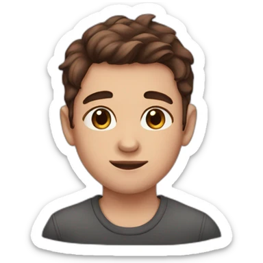 Boy with brown hair and birthmark onl right cheek sticker