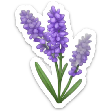 Lavender  sticker