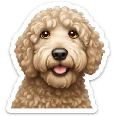 Labradoodle  sticker