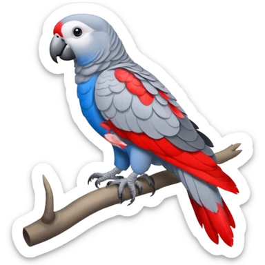 African grey parrot sticker