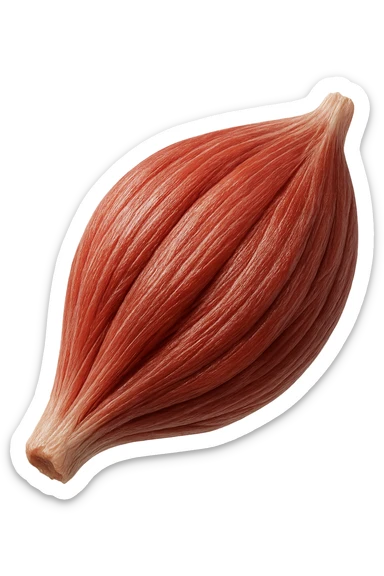 porzione di tessuto muscolare umano iperrealistico fluttua in aria, iperrealistico 4k sticker