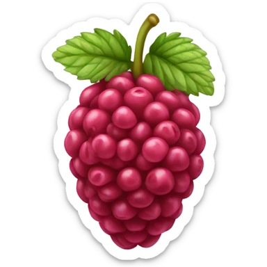 raspberry  sticker