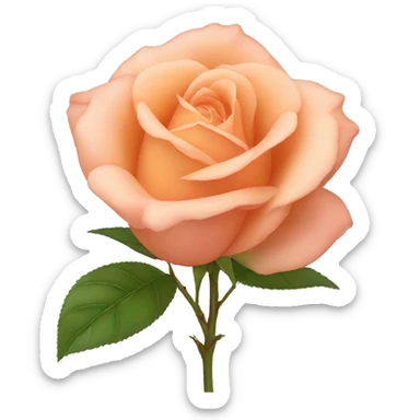 Peach shade rose sticker