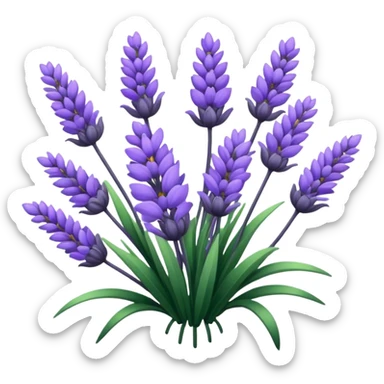 Lavender purple sticker