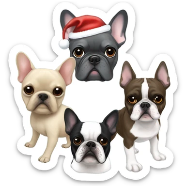 Totally gray French bulldog with a brussels griffon and a boston terrier Christmas   sticker