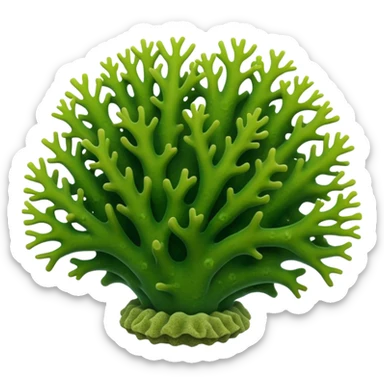 green Coral in sea sticker
