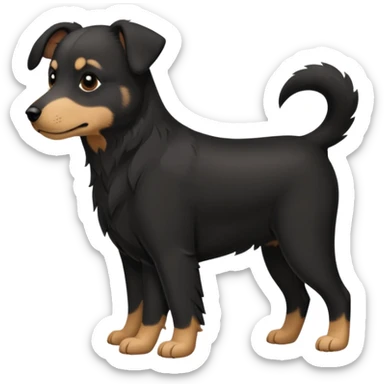 Chien noir avec poitrine et patte avant droite blanche sticker