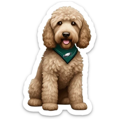 Light brown with little dark brown Labradoodle  wearing a Philadelphia Eagles shirt sticker