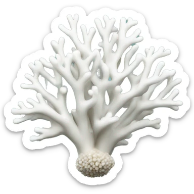 White coral sticker