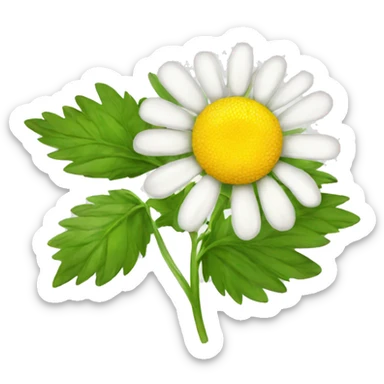 CHAMOMILE with leaf sticker