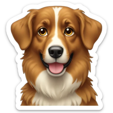 Berger australien  sticker