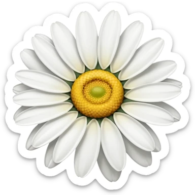 Daisy flower sticker