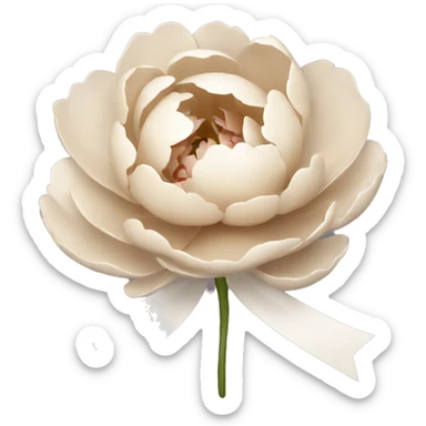 Peonie beige with white bow sticker