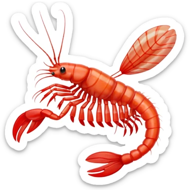 Coral banded shrimp sticker