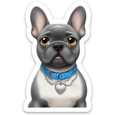 A grey frenchie with a name collar that says Chata and with blue eyes ￼ sticker