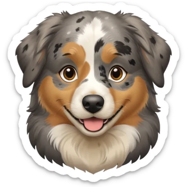Australian Shepherd golden retriever tan eyebrows  black and speckled grey fur on chest.  sticker