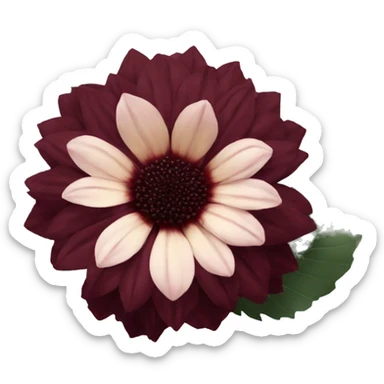 give me a black dahlia flower with a burgundy red color sticker
