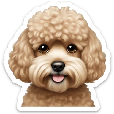 apricot-brown shih-tsu poodle portrait sticker