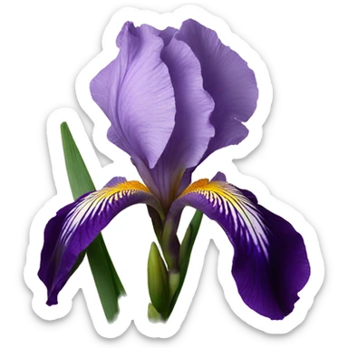 Iris flower with long stem sticker