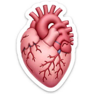 Anatomical heart, very soft pastel pink, light, iOS emoji style, variation 3 sticker