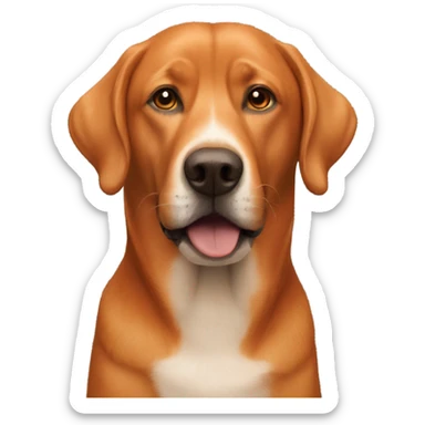  man and fox red labrador together sticker