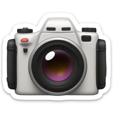Camera roll sticker