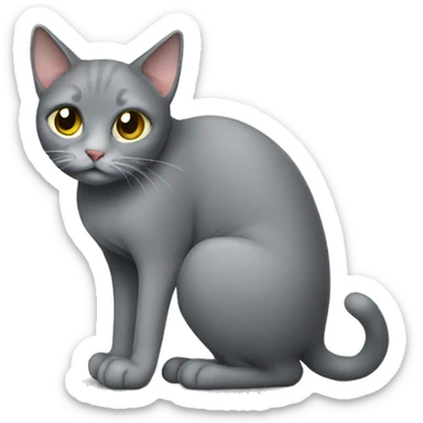 a grey cat peeing on floor sticker