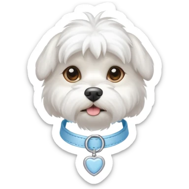 A white Maltese dog with a light blue collar  sticker