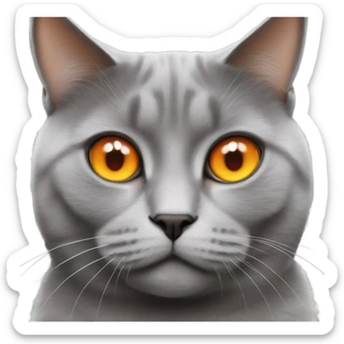 realistic british grey cat with orange eyes  sticker