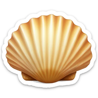 Cute seashell sticker