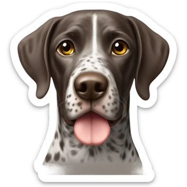 German short haired pointer  sticker