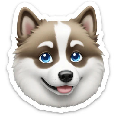 Pomsky with blue eyes sticker