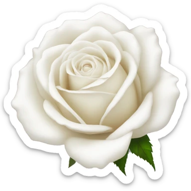 White rose sticker